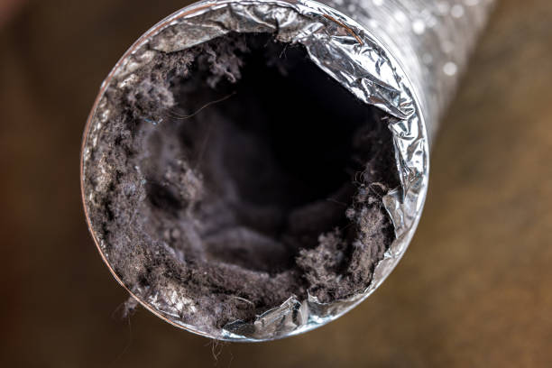 Best Air Duct Cleaning Company Near Me  in Edgard, LA