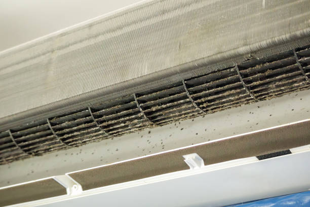 Best Air Duct Cleaning Near Me  in Edgard, LA